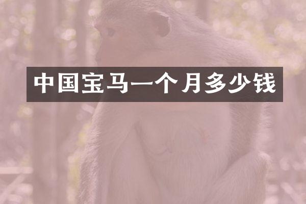 中国宝马一个月多少钱