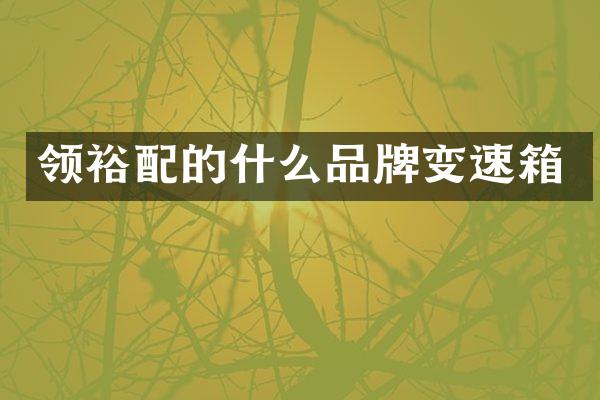 领裕配的什么品牌变速箱