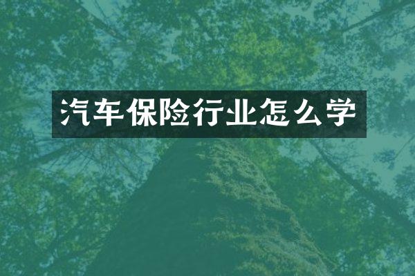 汽车保险行业怎么学