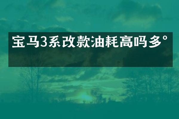 宝马3系改款油耗高吗多少