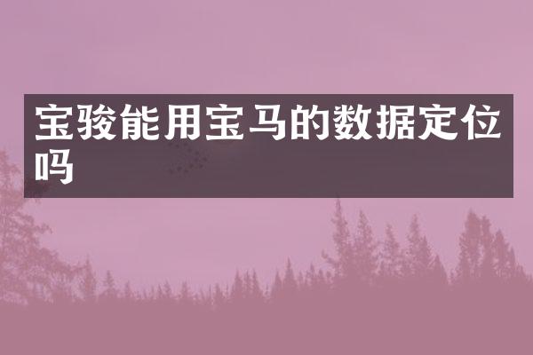 宝骏能用宝马的数据定位吗