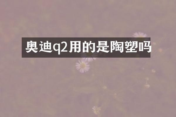 奥迪q2用的是陶塑吗