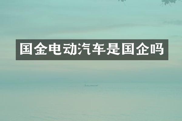 国金电动汽车是国企吗