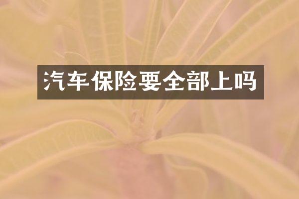 汽车保险要全部上吗