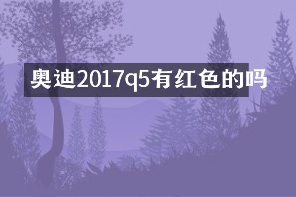 奥迪2017q5有红色的吗