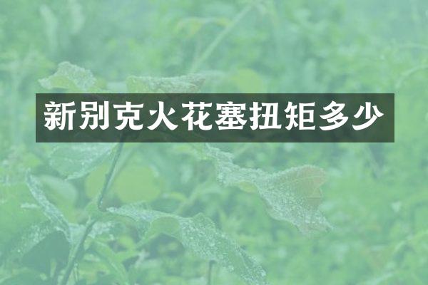 新别克火花塞扭矩多少