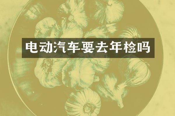 电动汽车要去年检吗