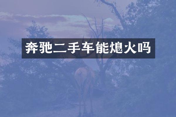 奔驰二手车能熄火吗