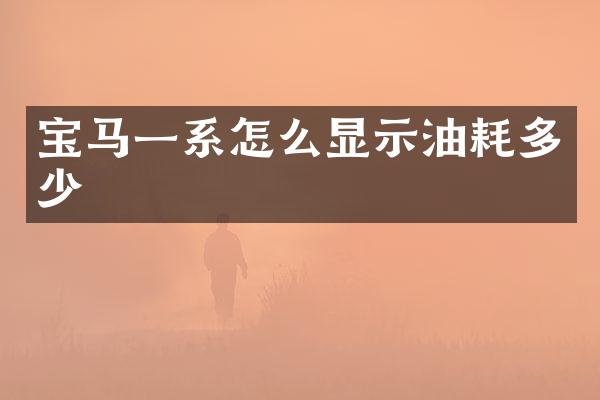 宝马一系怎么显示油耗多少