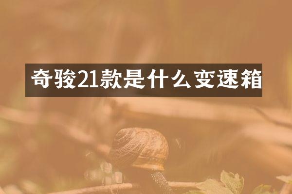 奇骏21款是什么变速箱