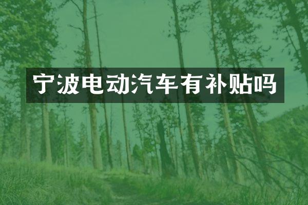 宁波电动汽车有补贴吗