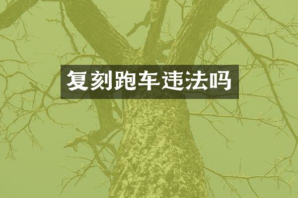 复刻跑车违法吗