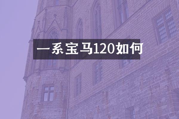 一系宝马120如何
