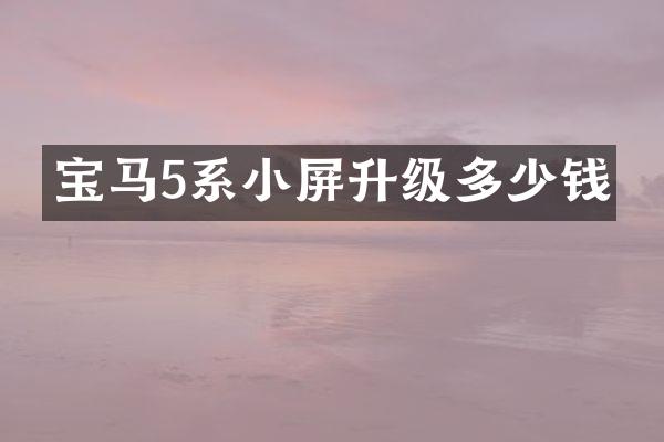 宝马5系小屏升级多少钱