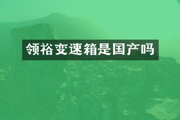领裕变速箱是国产吗