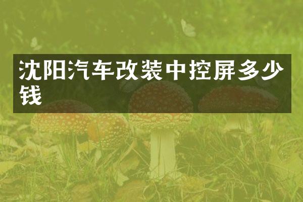 沈阳汽车改装中控屏多少钱