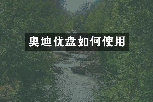 奥迪优盘如何使用