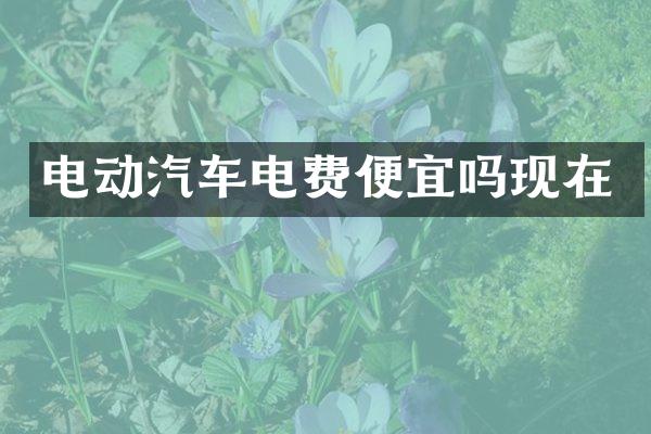电动汽车电费便宜吗现在