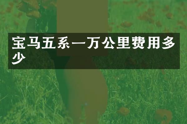 宝马五系一万公里费用多少