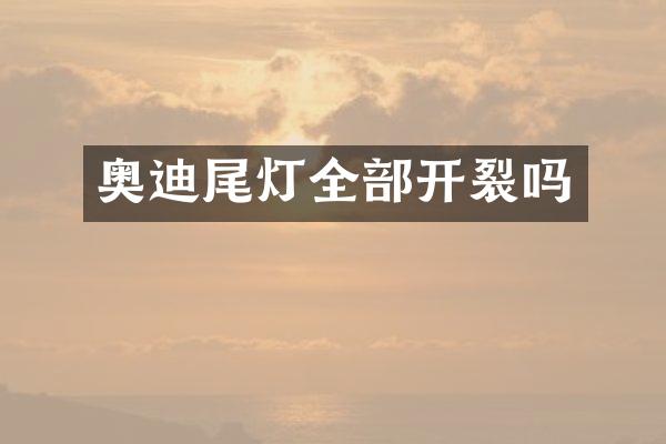 奥迪尾灯全部开裂吗