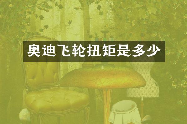 奥迪飞轮扭矩是多少