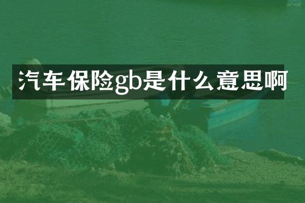 汽车保险gb是什么意思啊
