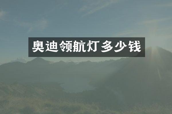 奥迪领航灯多少钱