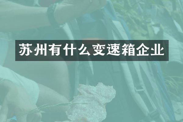 苏州有什么变速箱企业