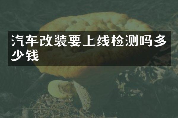 汽车改装要上线检测吗多少钱