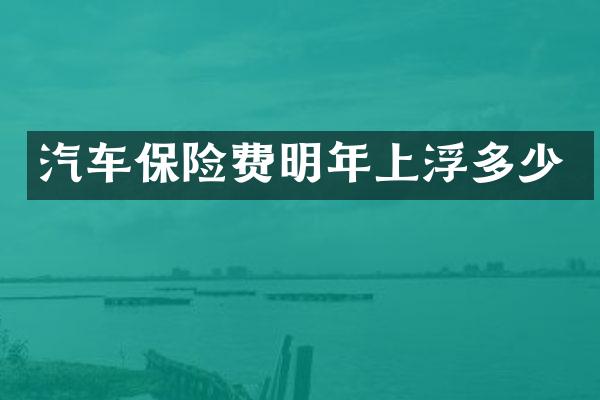 汽车保险费明年上浮多少