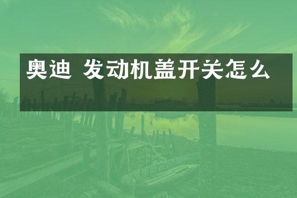 奥迪 发动机盖开关怎么拆