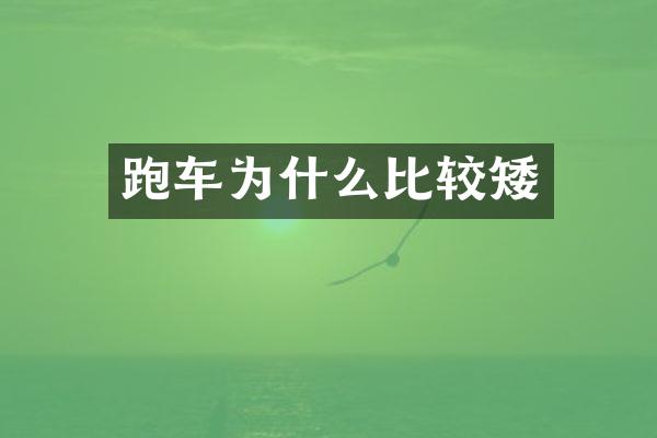 跑车为什么比较矮