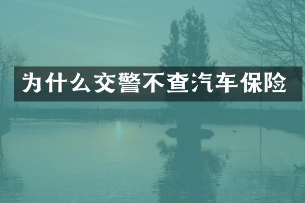 为什么交警不查汽车保险