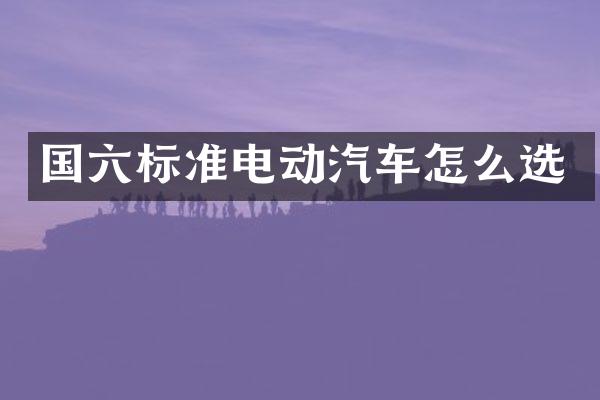 国六标准电动汽车怎么选
