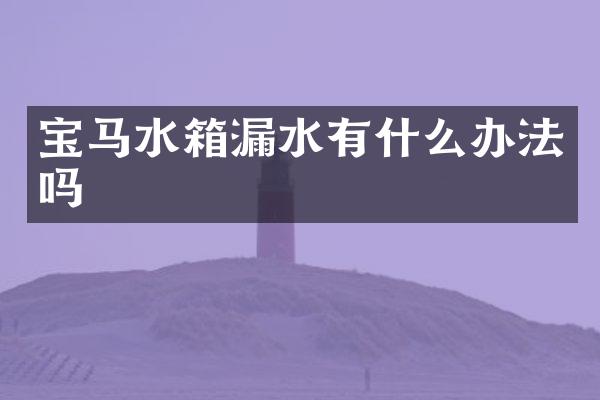 宝马水箱漏水有什么办法吗