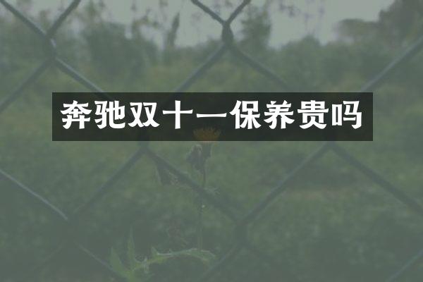 奔驰双十一保养贵吗