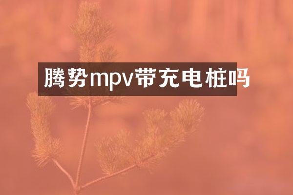 腾势mpv带充电桩吗
