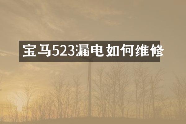 宝马523漏电如修