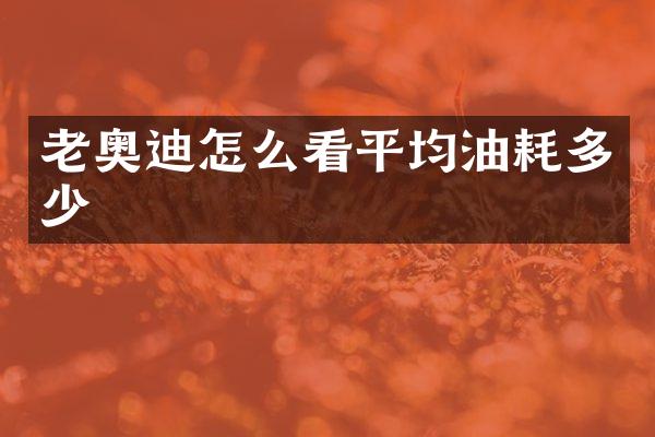 老奥迪怎么看平均油耗多少