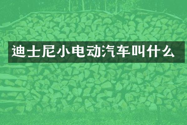 迪士尼小电动汽车叫什么