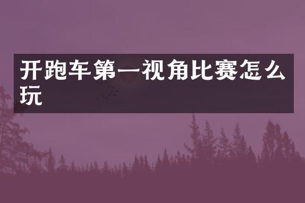 开跑车第一视角比赛怎么玩