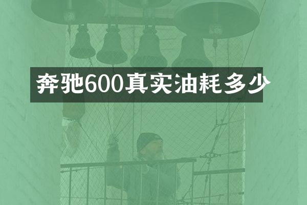 奔驰600真实油耗多少