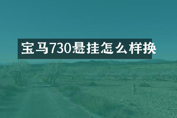 宝马730悬挂怎么样换