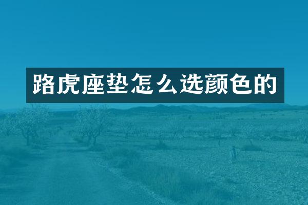 路虎座垫怎么选颜色的