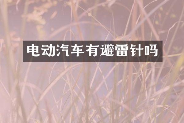 电动汽车有避雷针吗