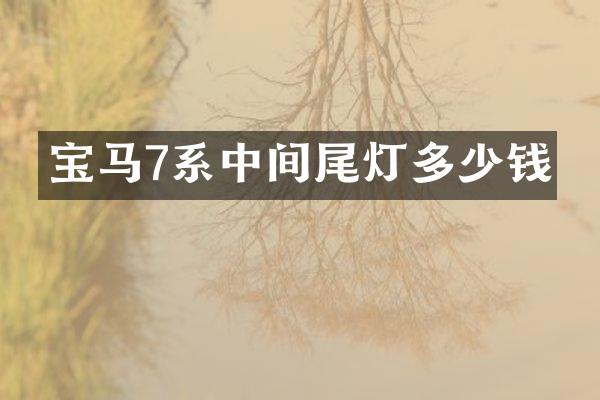 宝马7系中间尾灯多少钱