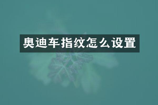 奥迪车指纹怎么设置