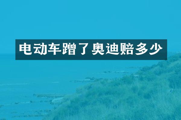 电动车蹭了奥迪赔多少