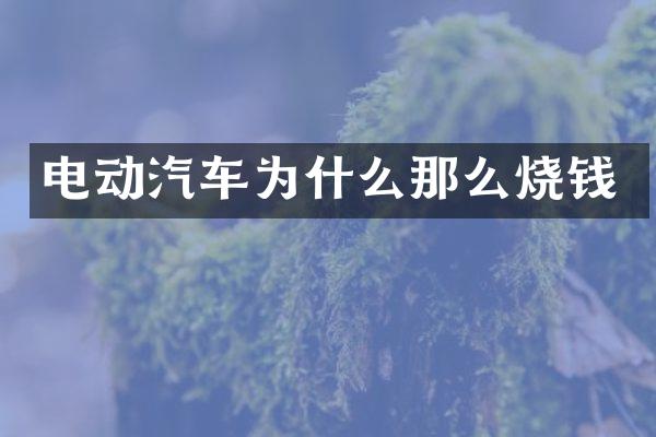 电动汽车为什么那么烧钱