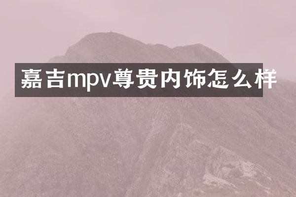 嘉吉mpv尊贵内饰怎么样
